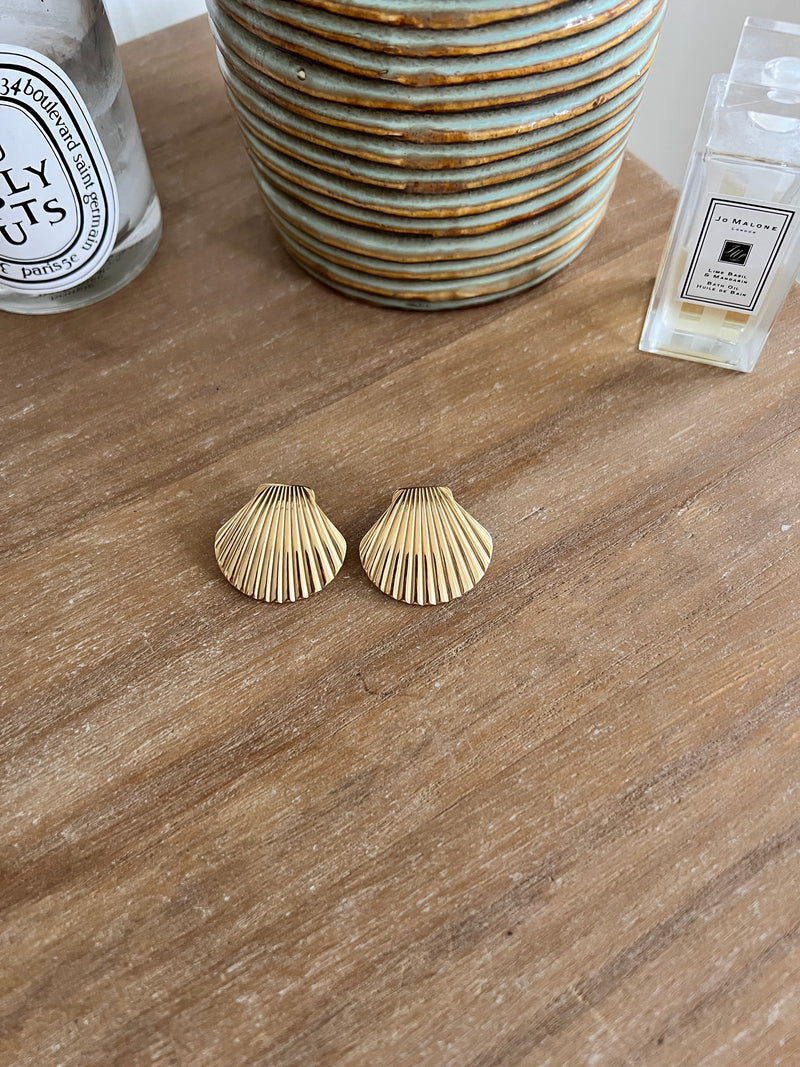 SHELL Earrings